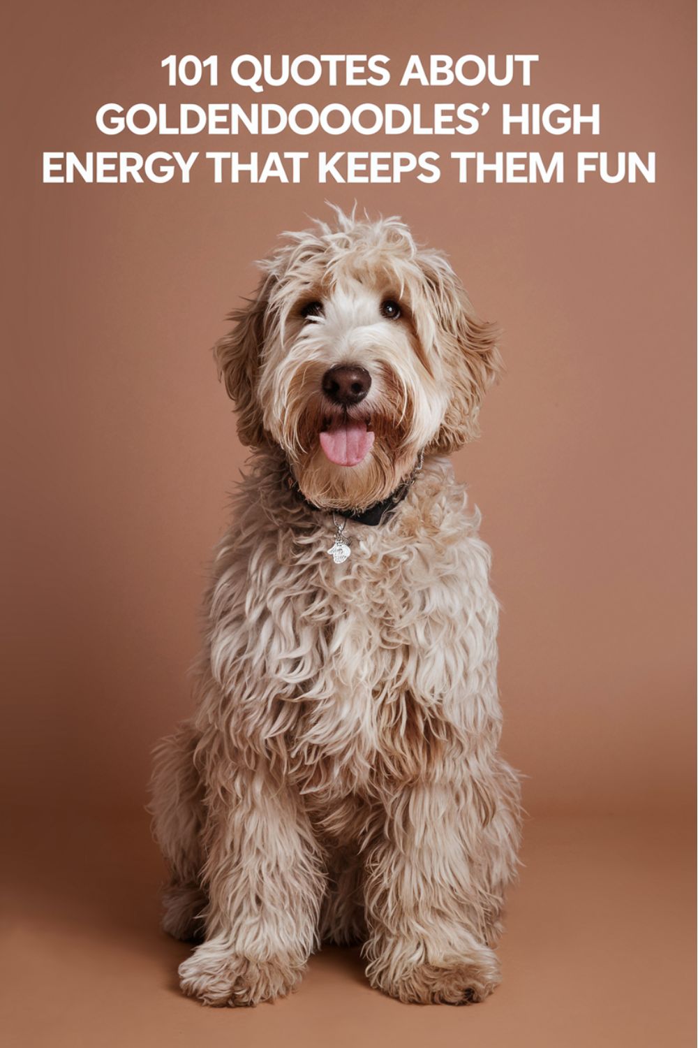 101 Quotes About Goldendoodles' High Energy That Keeps Them FunQuotes About Goldendoodles' High Energy That Keeps Them Fun