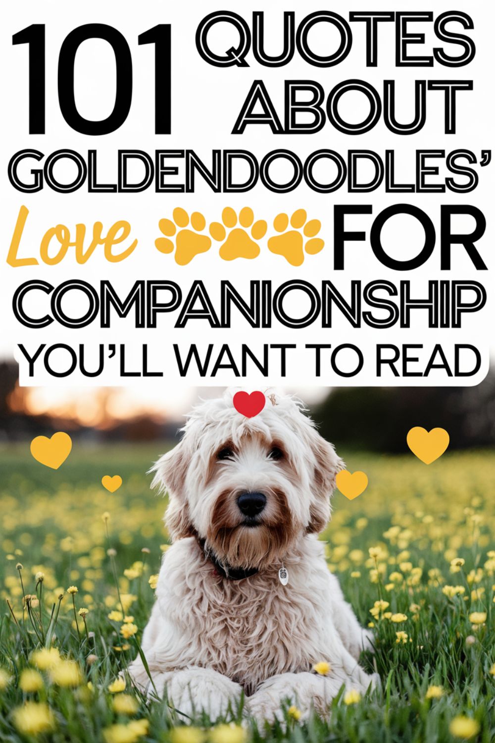 101 Quotes About Goldendoodles' Love for Companionship You’ll Want to Read