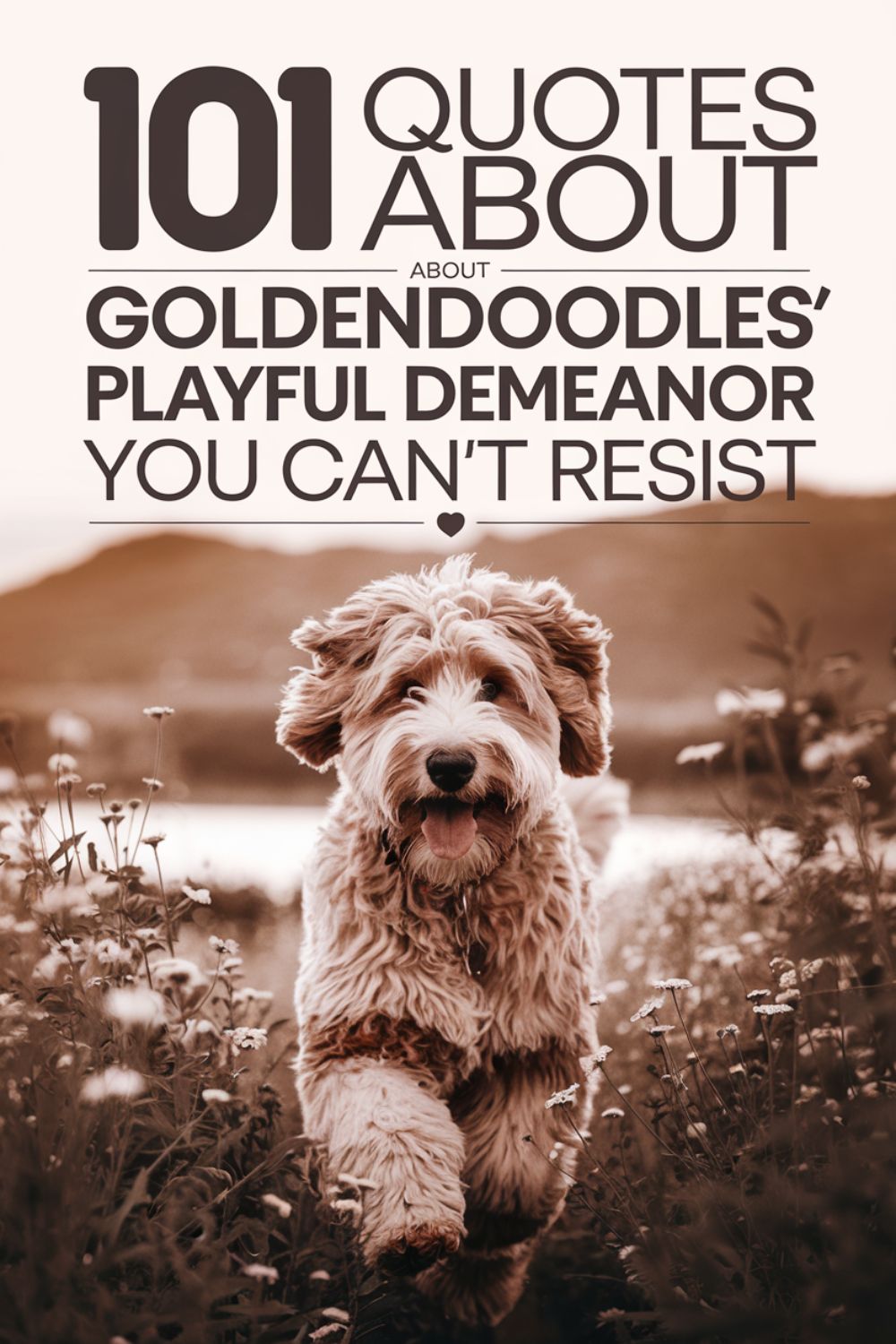 101 Quotes About Goldendoodles' Playful Demeanor You Can’t Resist