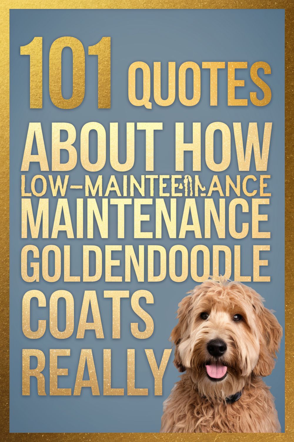 101 Quotes About How Low-Maintenance Goldendoodle Coats Really Are