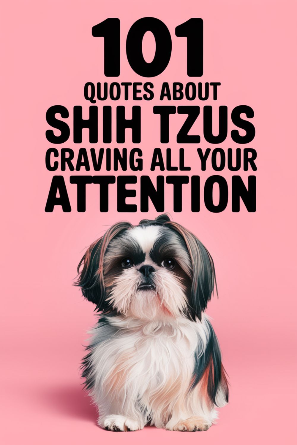 101 Quotes About Shih Tzus Craving All Your Attention