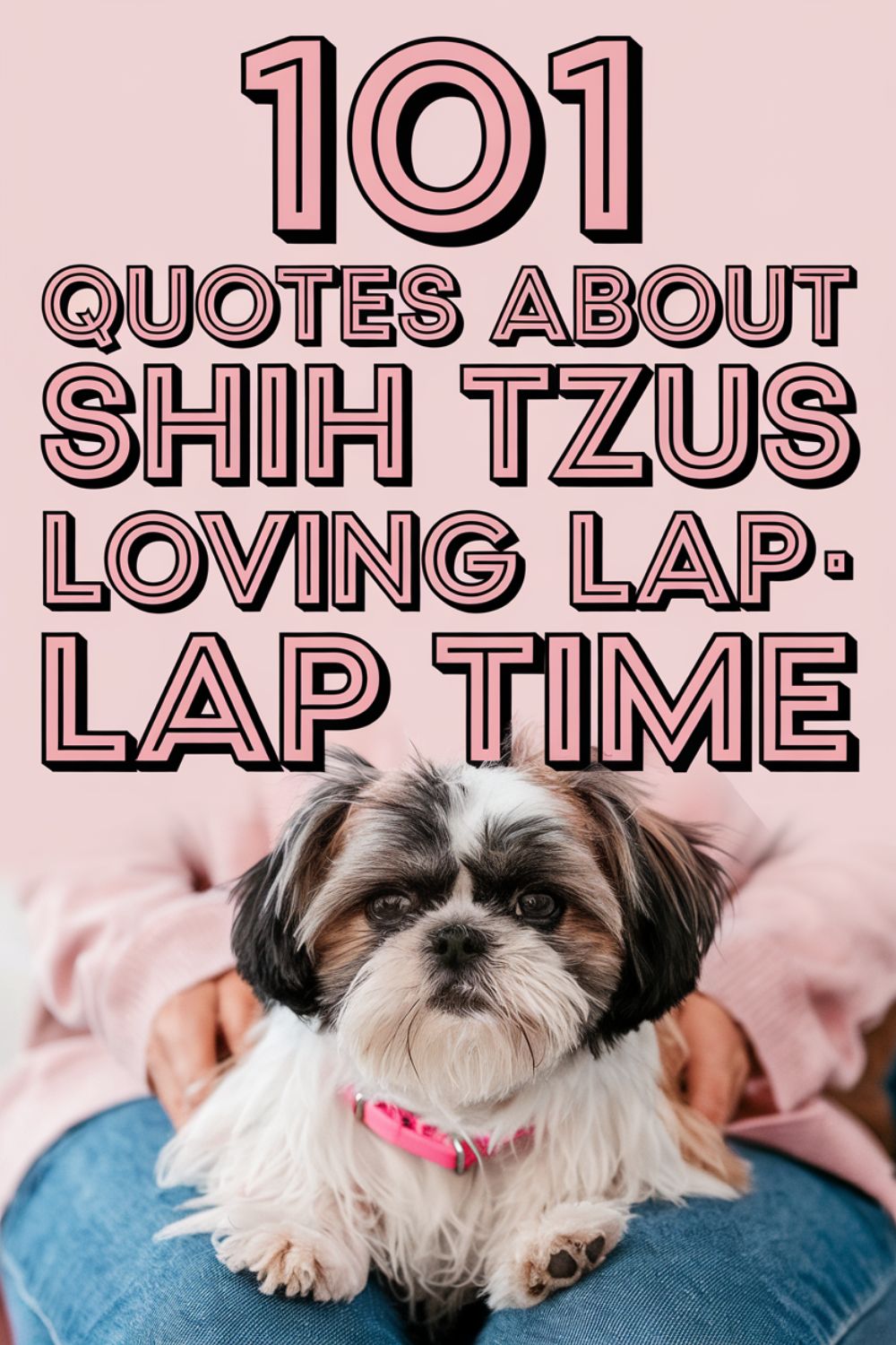 101 Quotes About Shih Tzus Loving Lap Time
