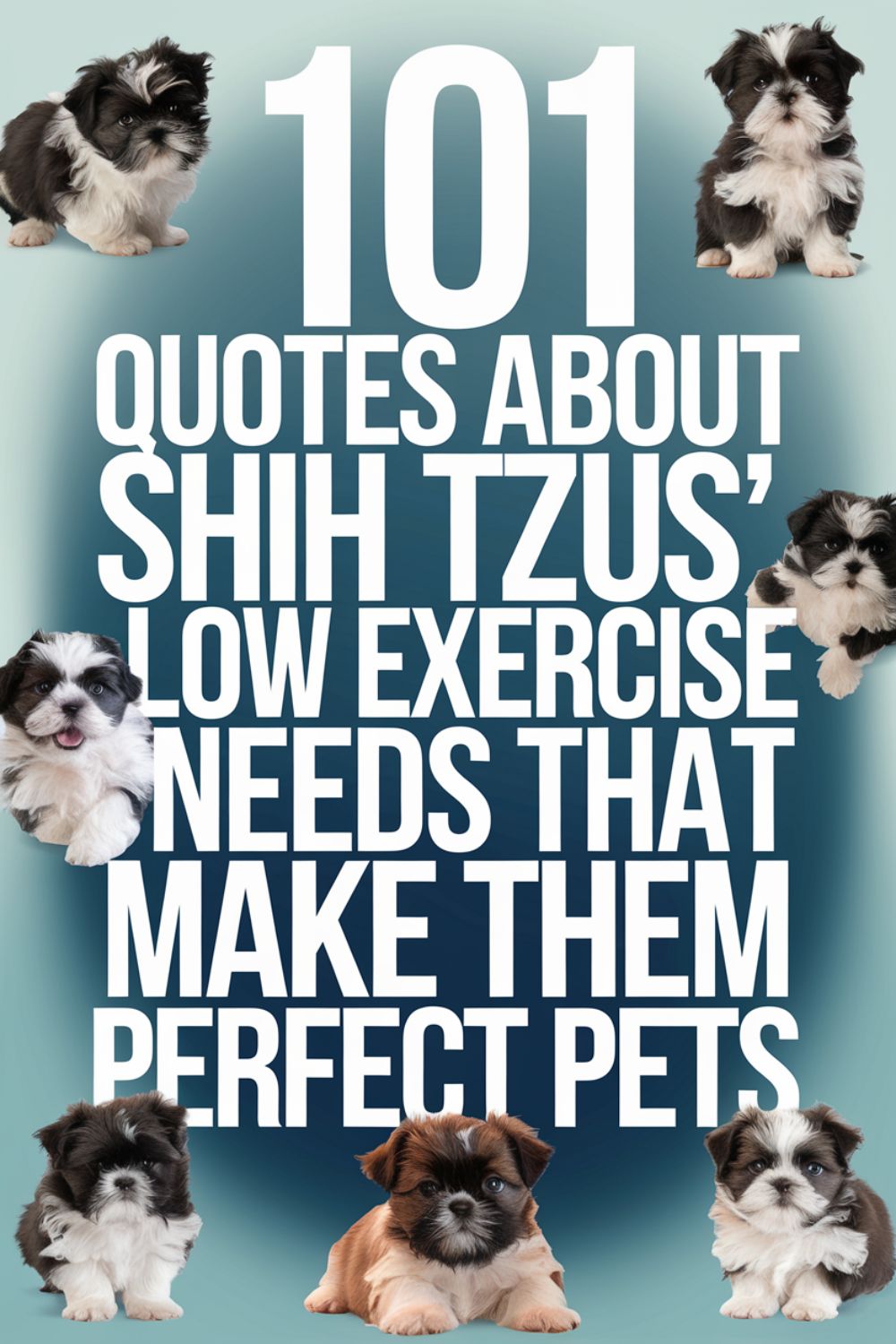 101 Quotes About Shih Tzus’ Low Exercise Needs That Make Them Perfect Pets