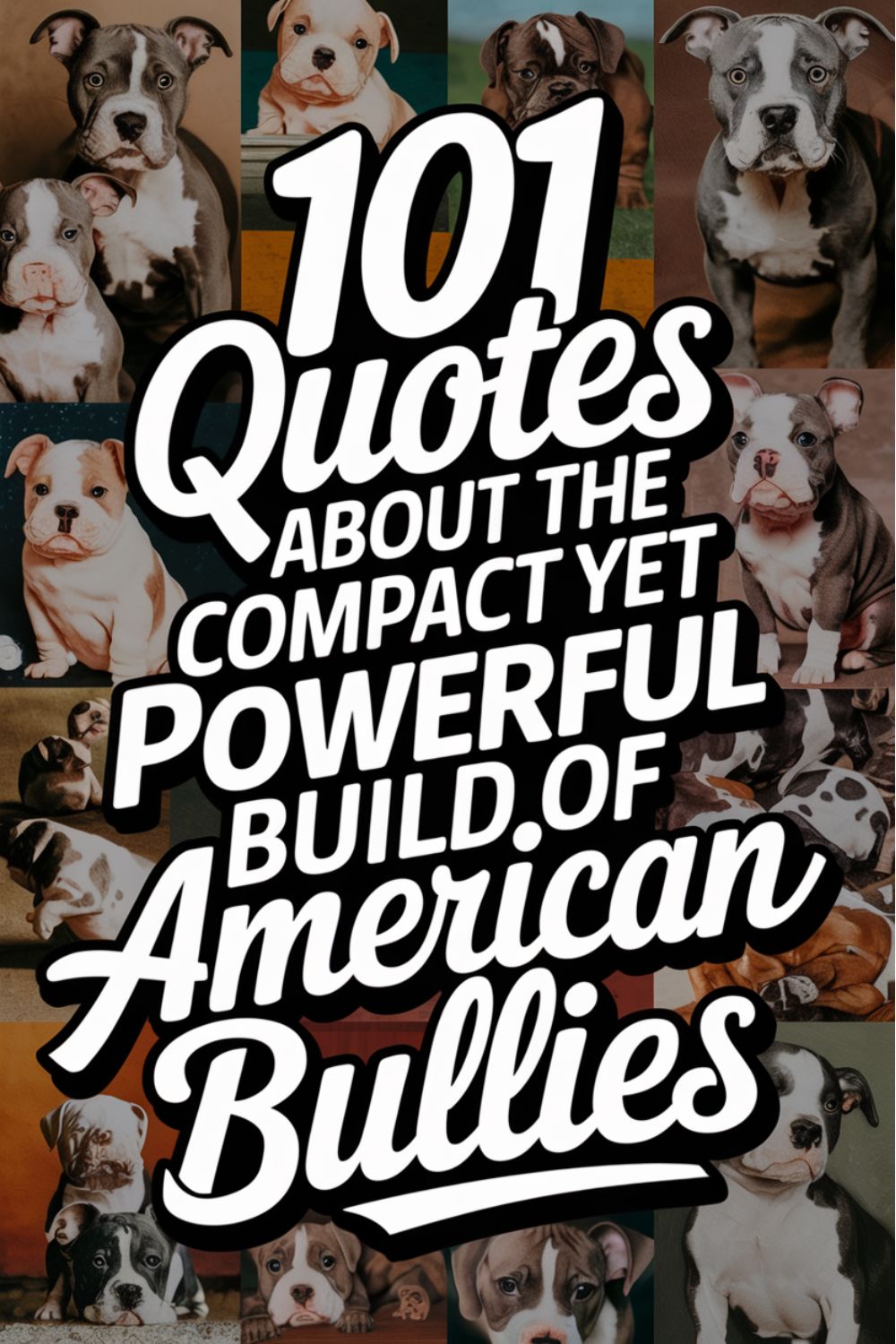 101 Quotes About the Compact Yet Powerful Build of American Bullies