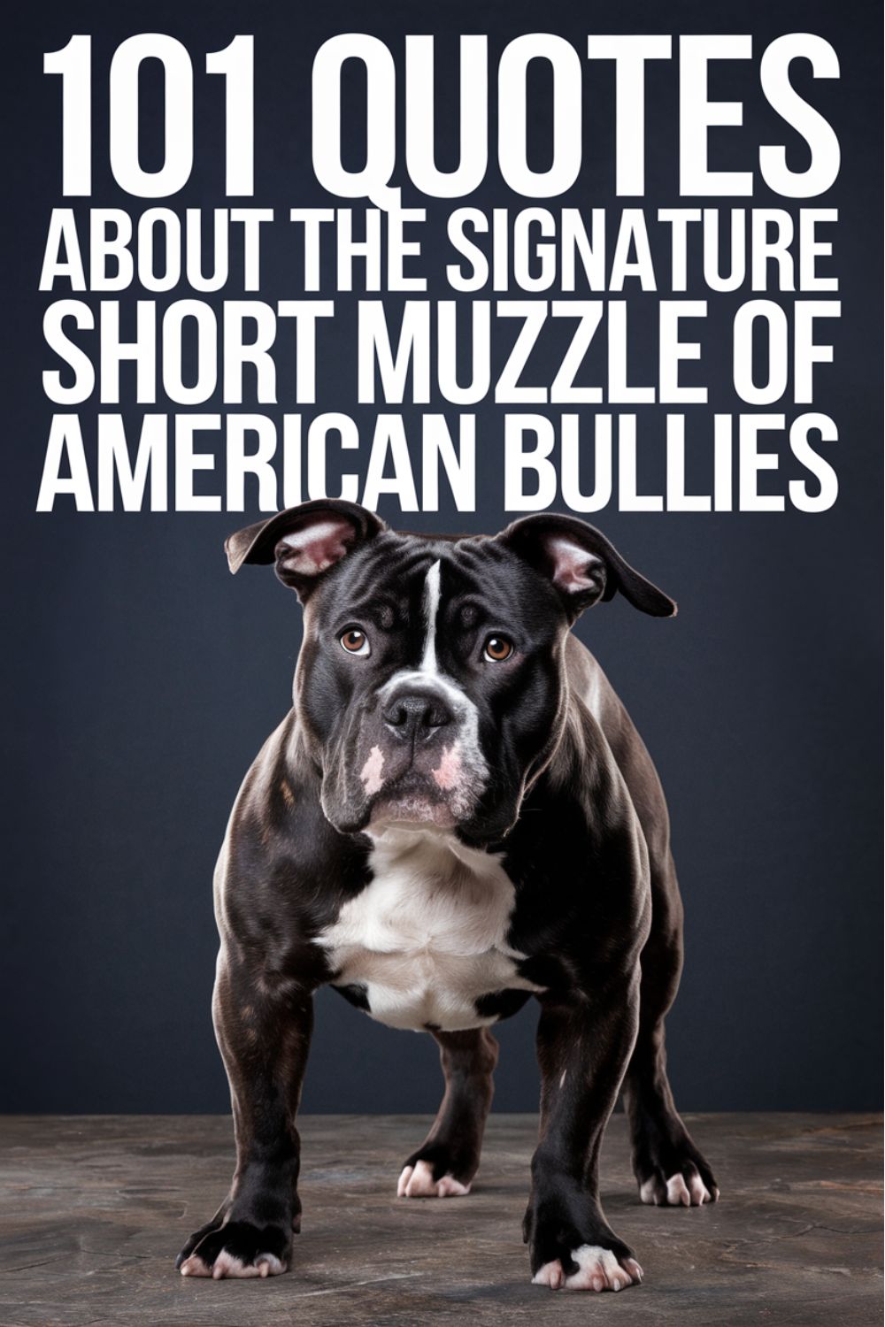 101 Quotes About the Signature Short Muzzle of American Bullies