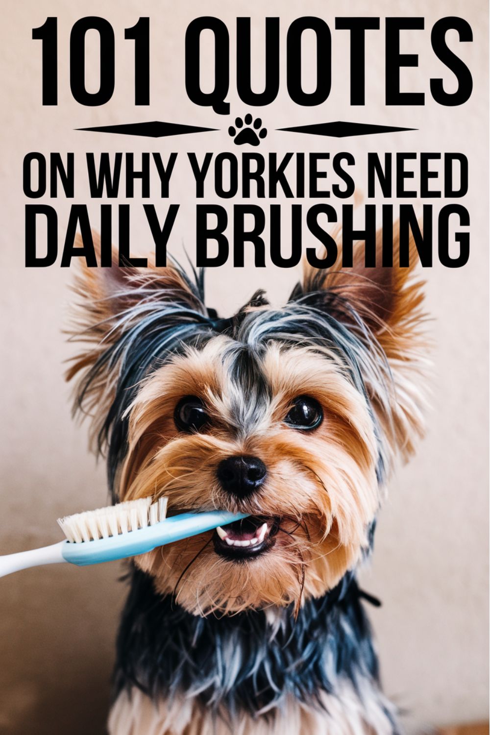 101 Quotes On Why Yorkies Need Daily Brushing