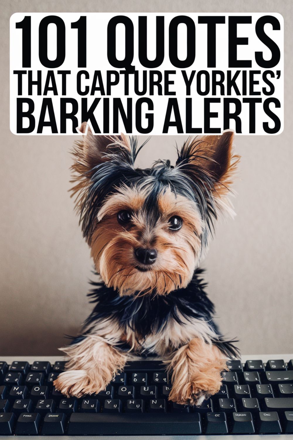 101 Quotes That Capture Yorkies’ Barking Alerts