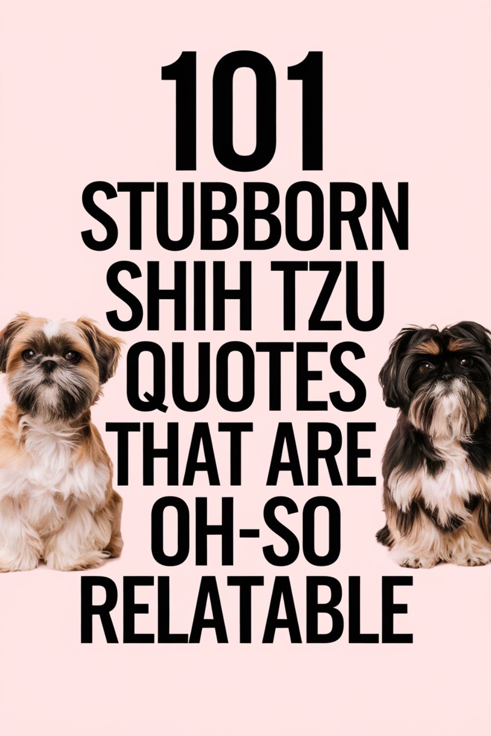 101 Stubborn Shih Tzu Quotes That Are Oh-So-Relatable