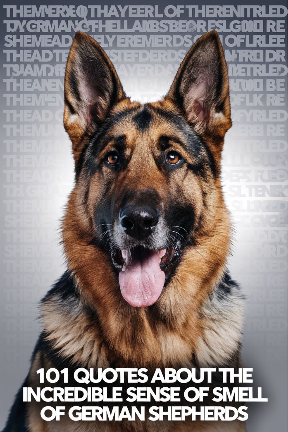 101 Quotes About the Incredible Sense of Smell of German Shepherds
