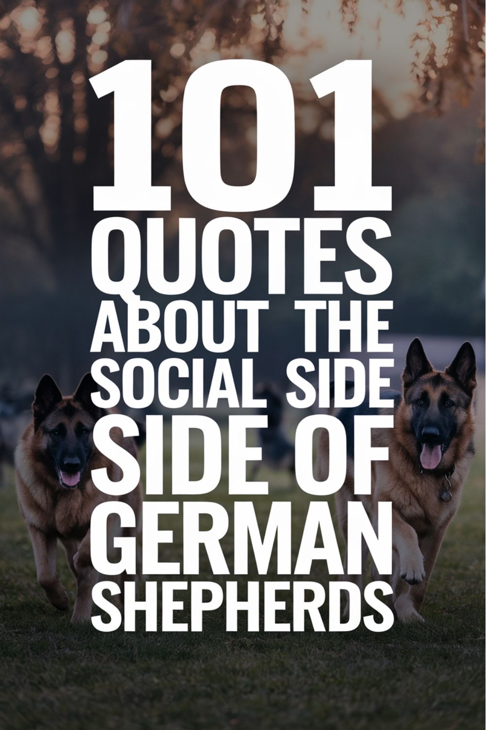 101 Quotes About the Social Side of German Shepherds