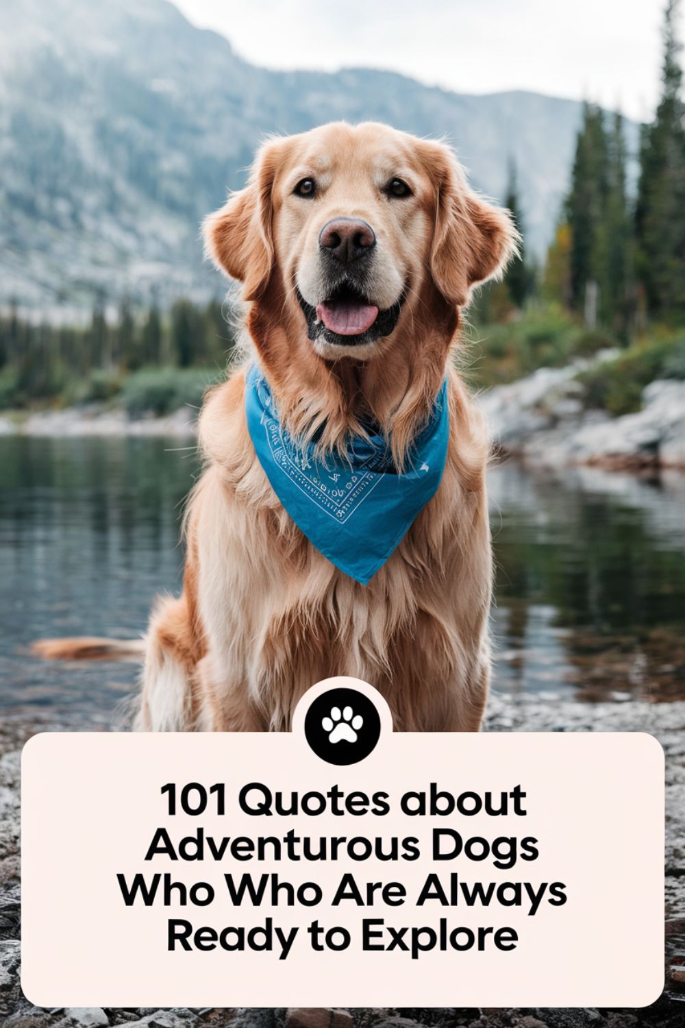 101 Quotes About Adventurous Dogs Who Are Always Ready to Explore