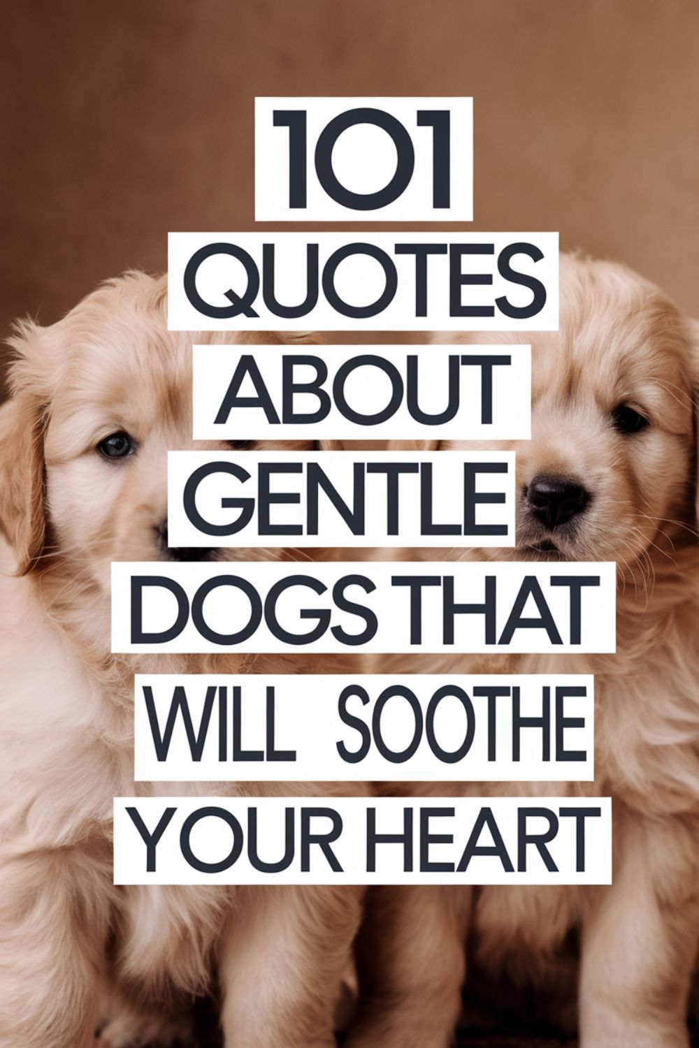 101 Quotes About Social Dogs That Love Everyone They Meet