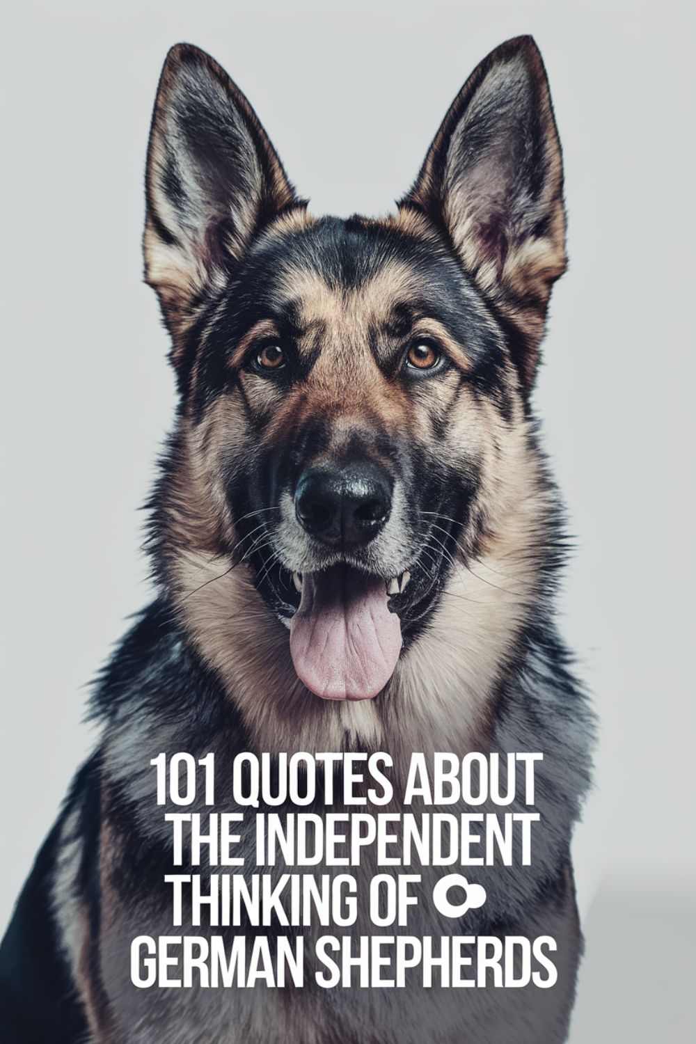 101 Quotes About the Independent Thinking of German Shepherds