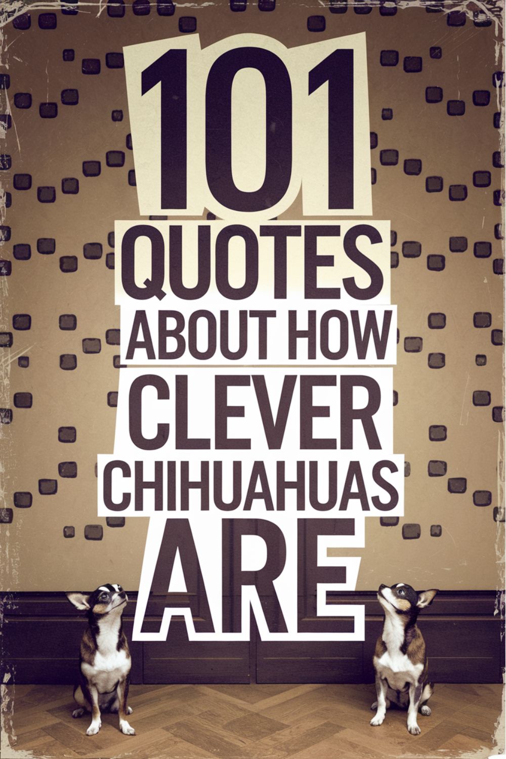 101 Quotes About How Clever Chihuahuas Are