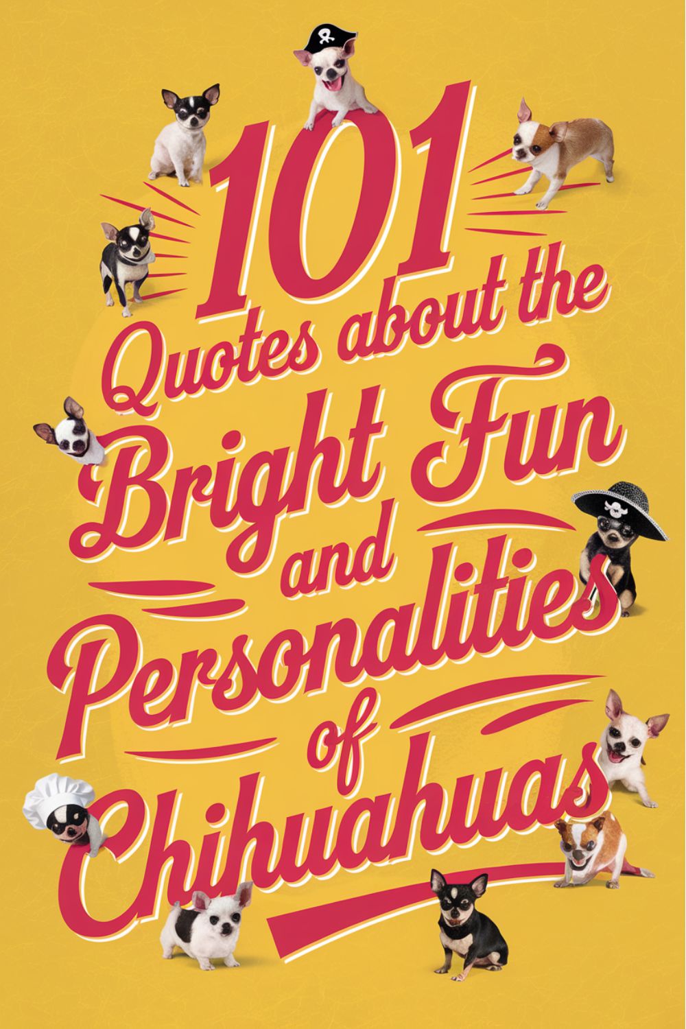 101 Quotes About the Bright and Fun Personalities of Chihuahuas