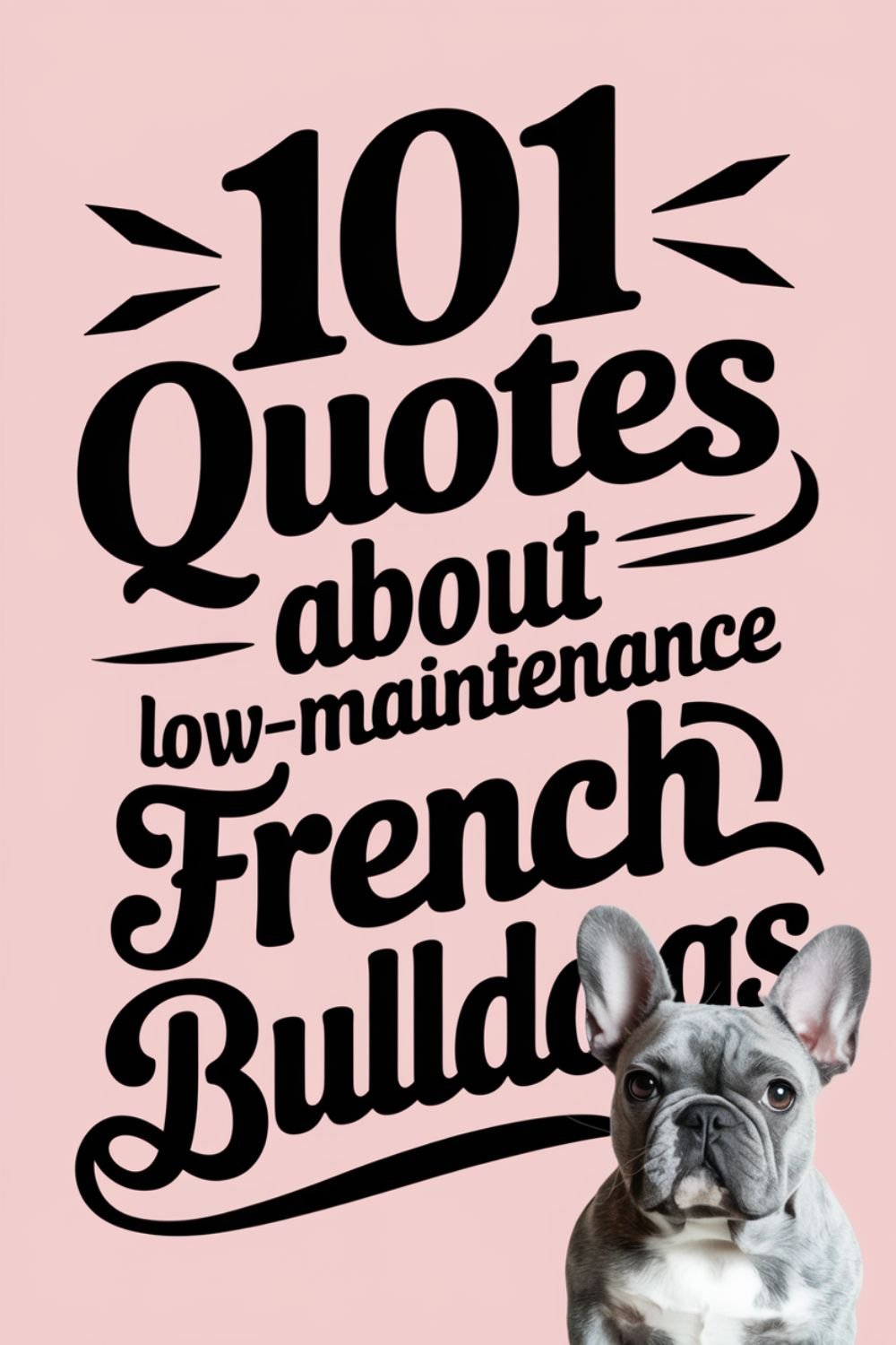 101 Quotes About Low-Maintenance French Bulldogs