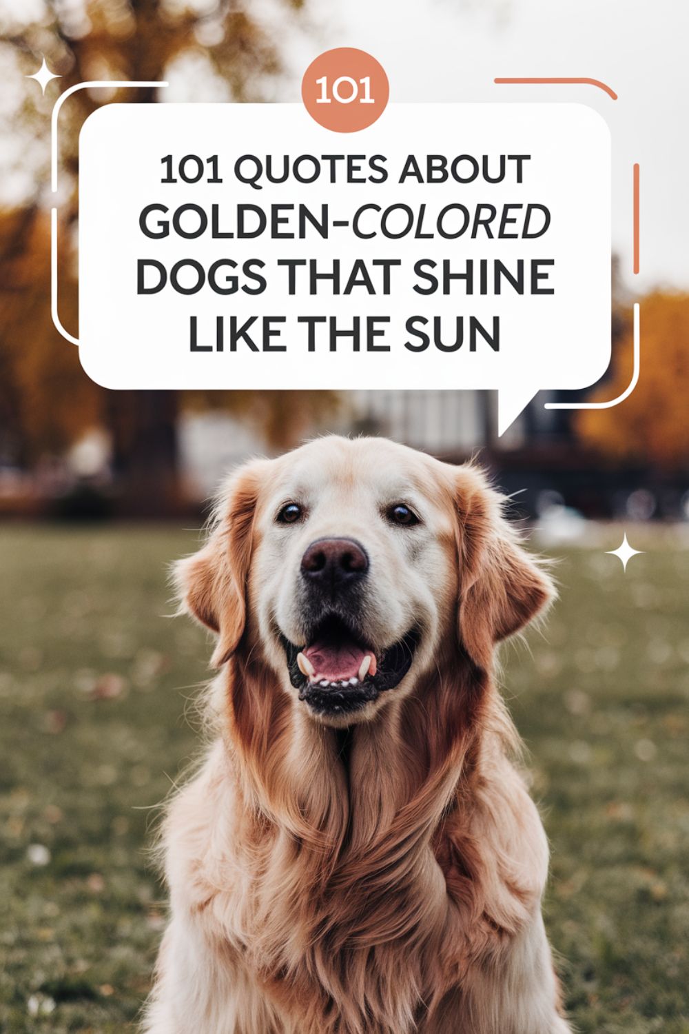 101 Quotes About Golden-Colored Dogs That Shine Like the Sun