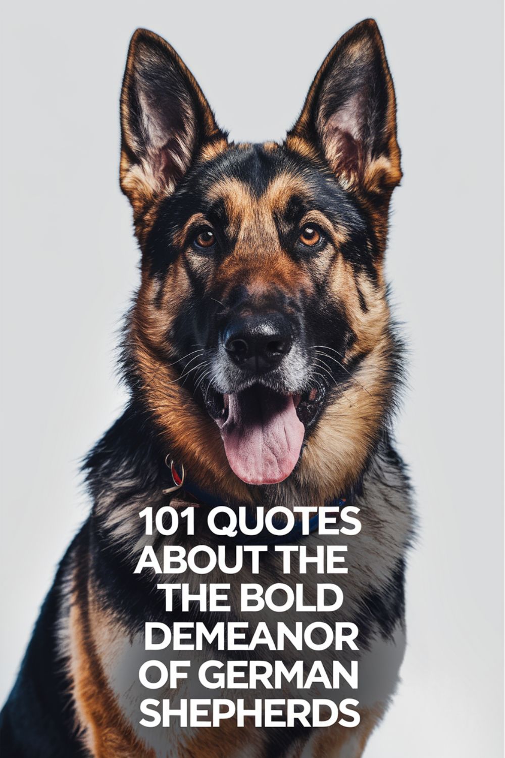 101 Quotes About the Bold Demeanor of German Shepherds