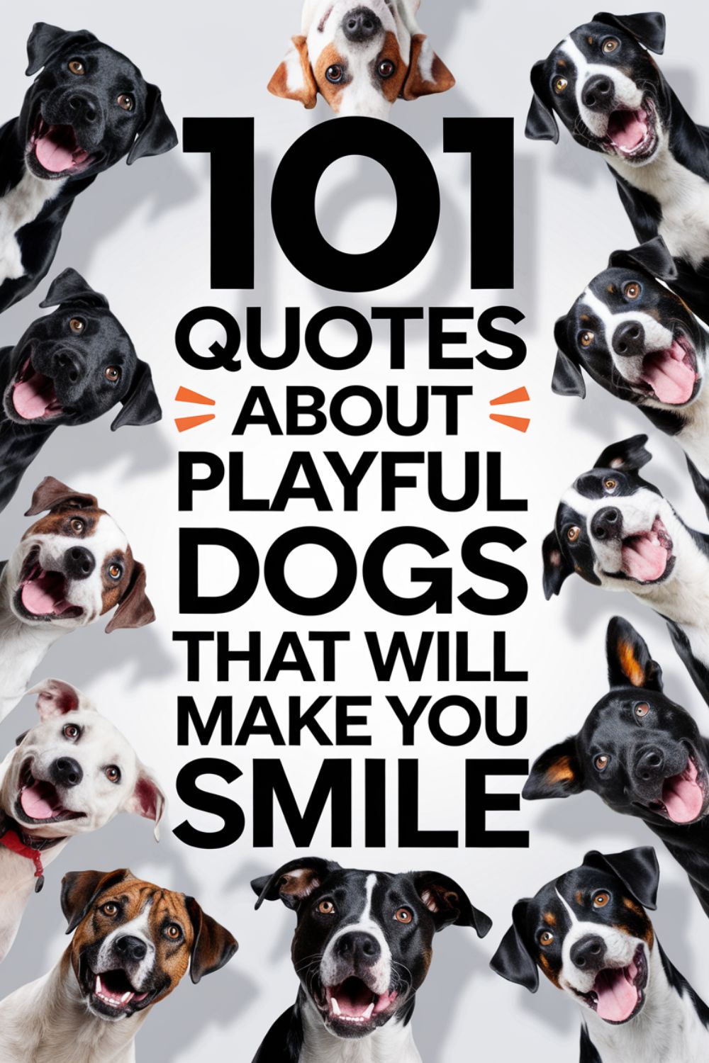 101 Quotes About Playful Dogs That Will Make You Smile