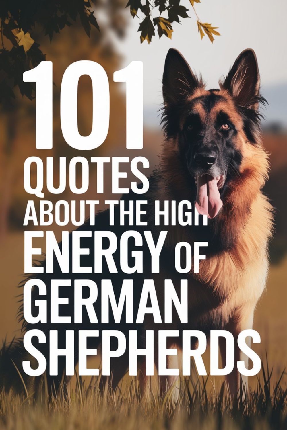 101 Quotes About the High Energy of German Shepherds