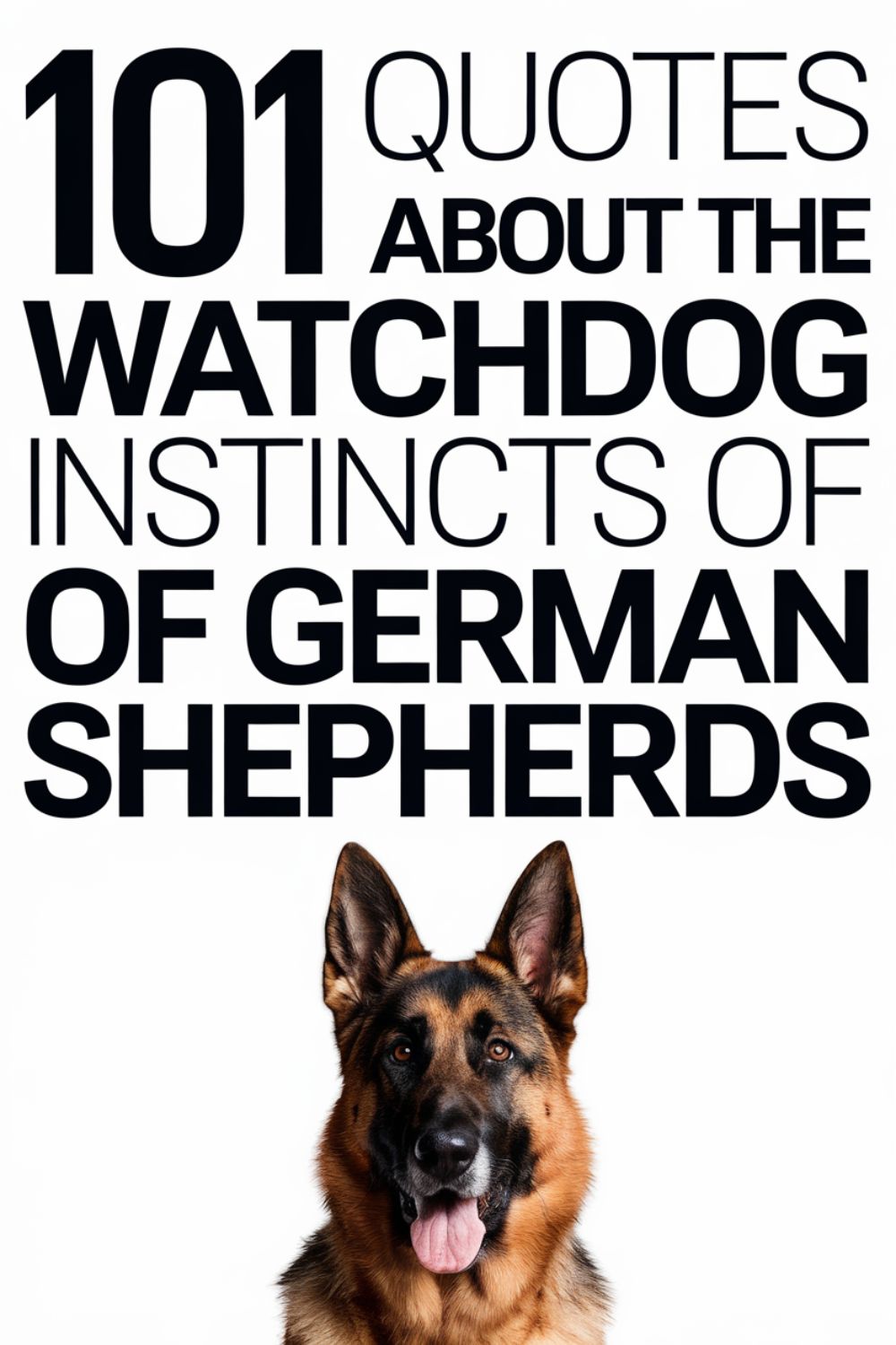 101 Quotes About the Watchdog Instincts of German Shepherds