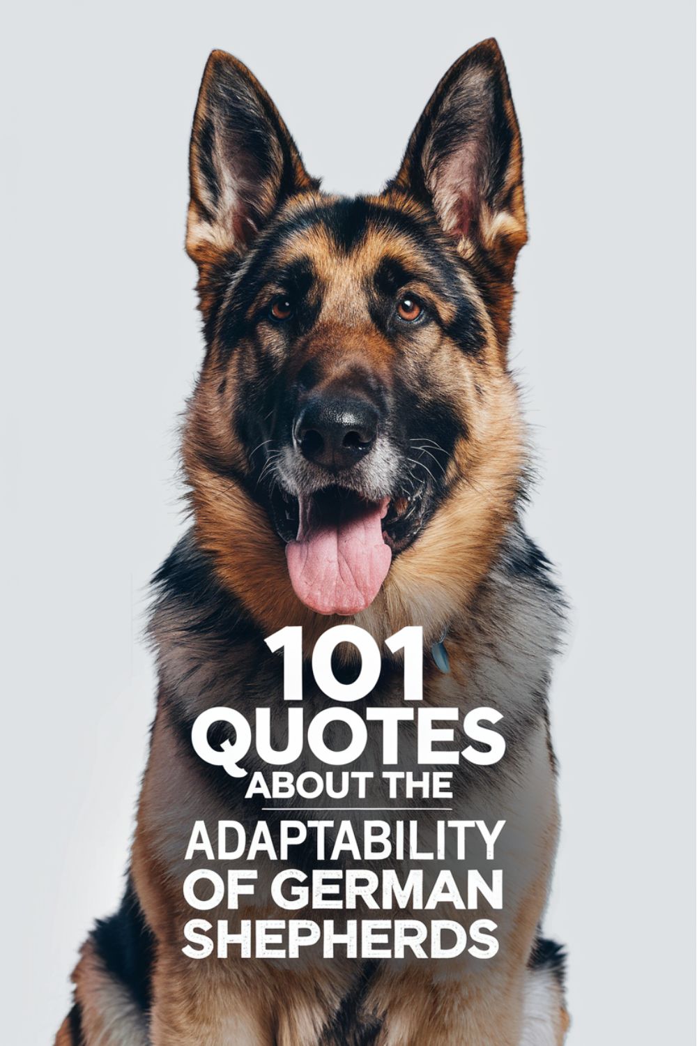 101 Quotes About the Responsiveness of German Shepherds to Training