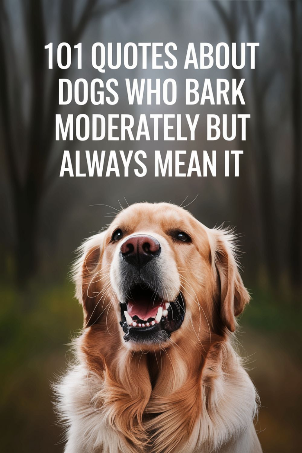 101 Quotes About Dogs Who Bark Moderately but Always Mean It