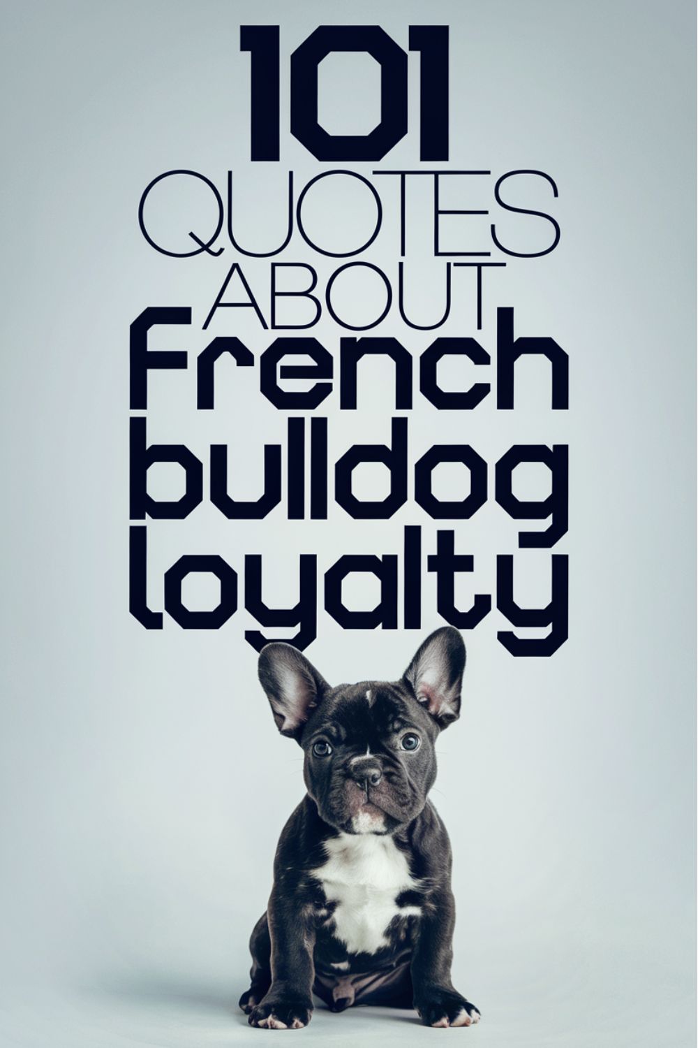 101 Quotes About French Bulldog Loyalty
