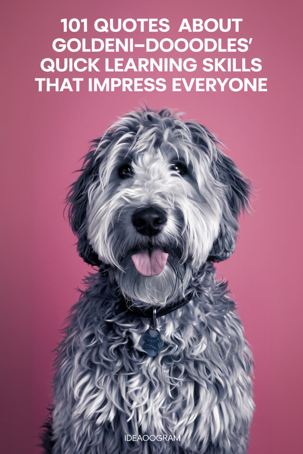 Goldendoodles' Quick Learning Skills That Impress Everyone
