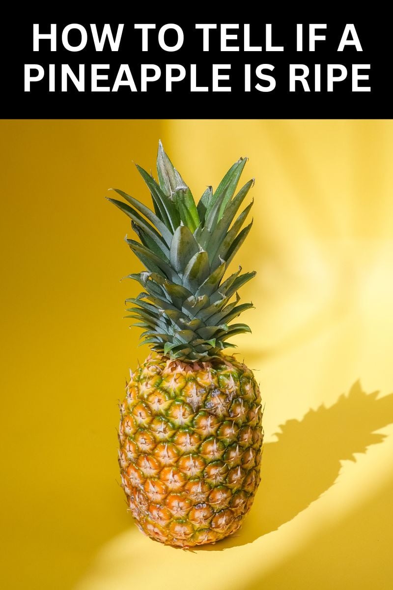 HOW TO TELL IF A PINEAPPLE IS RIPE