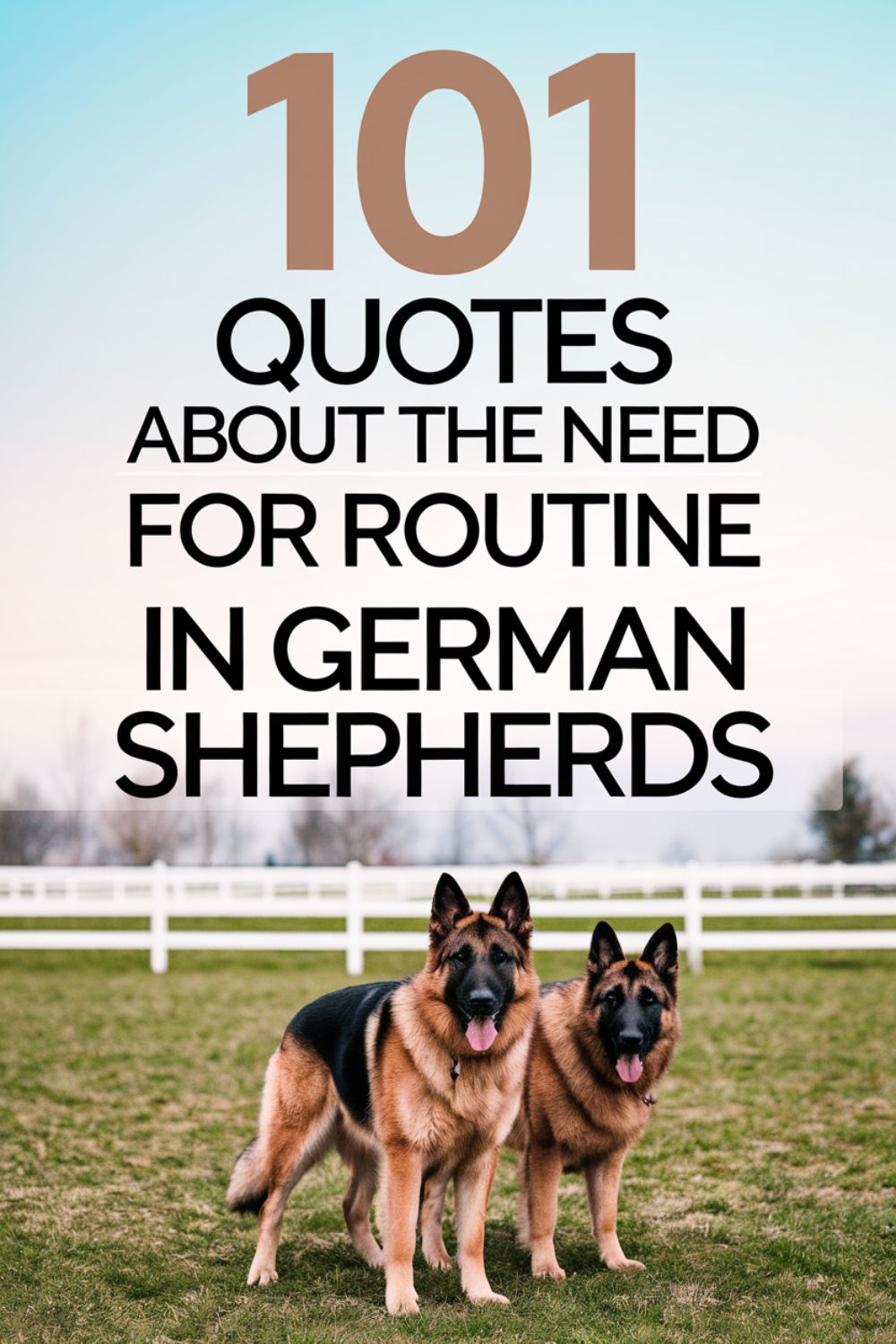 101 Quotes About the Need for Routine in German Shepherds
