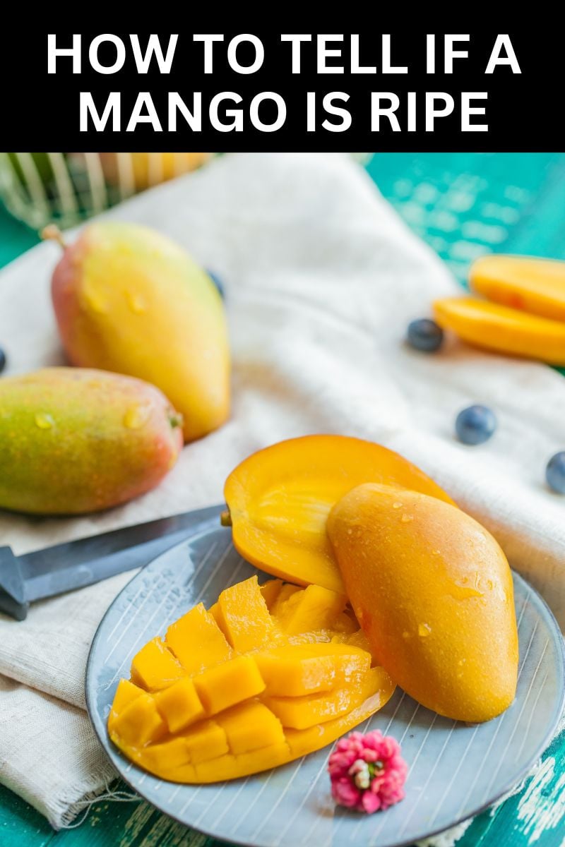 mango