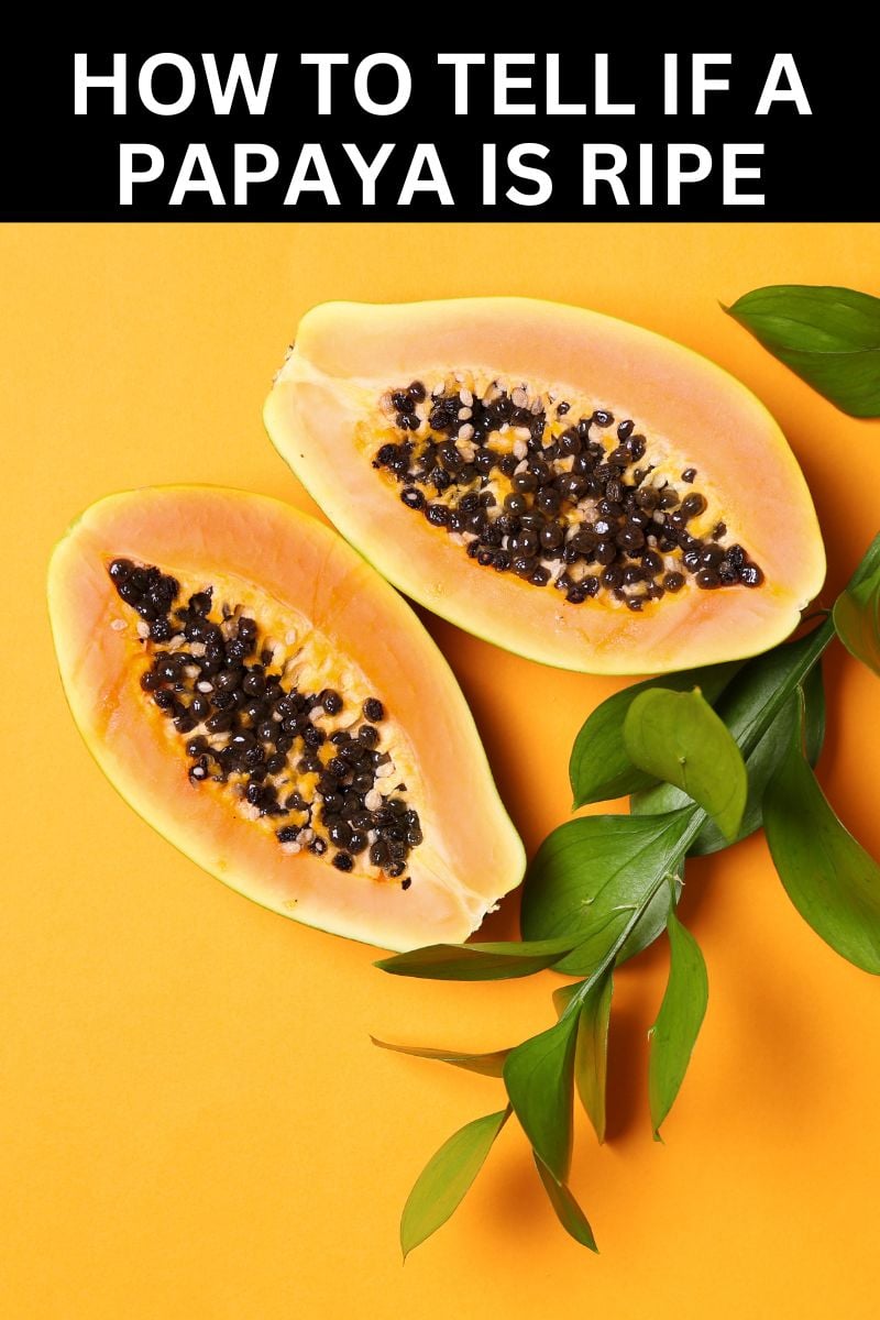 papaya