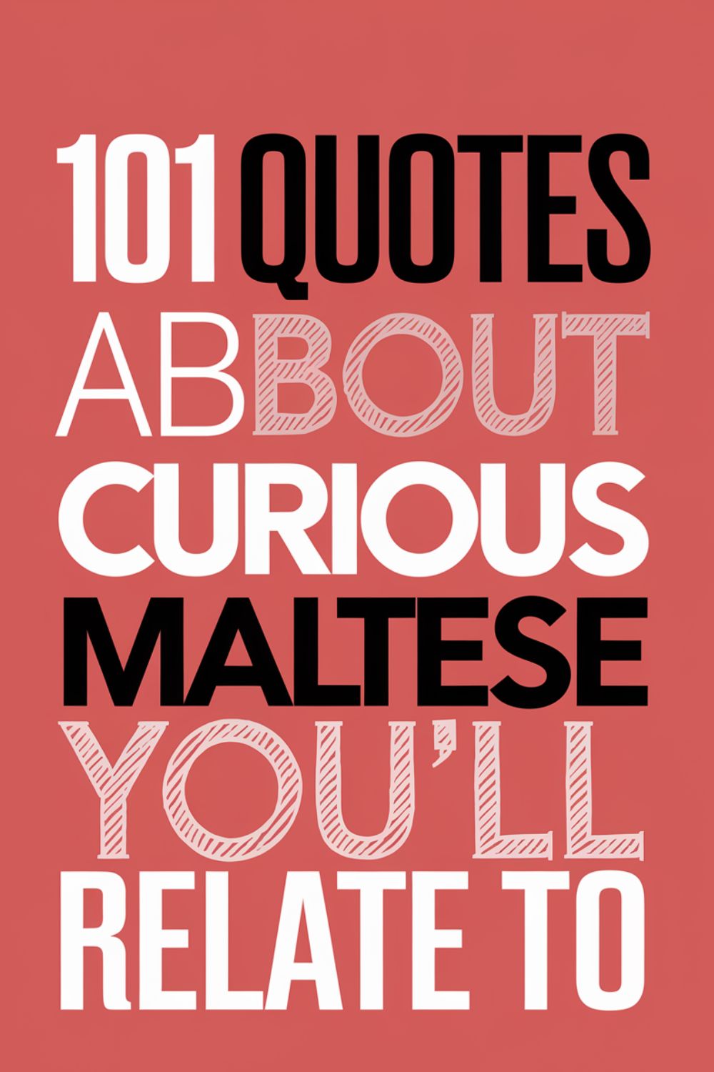 101 Quotes About Curious Maltese You’ll Relate To