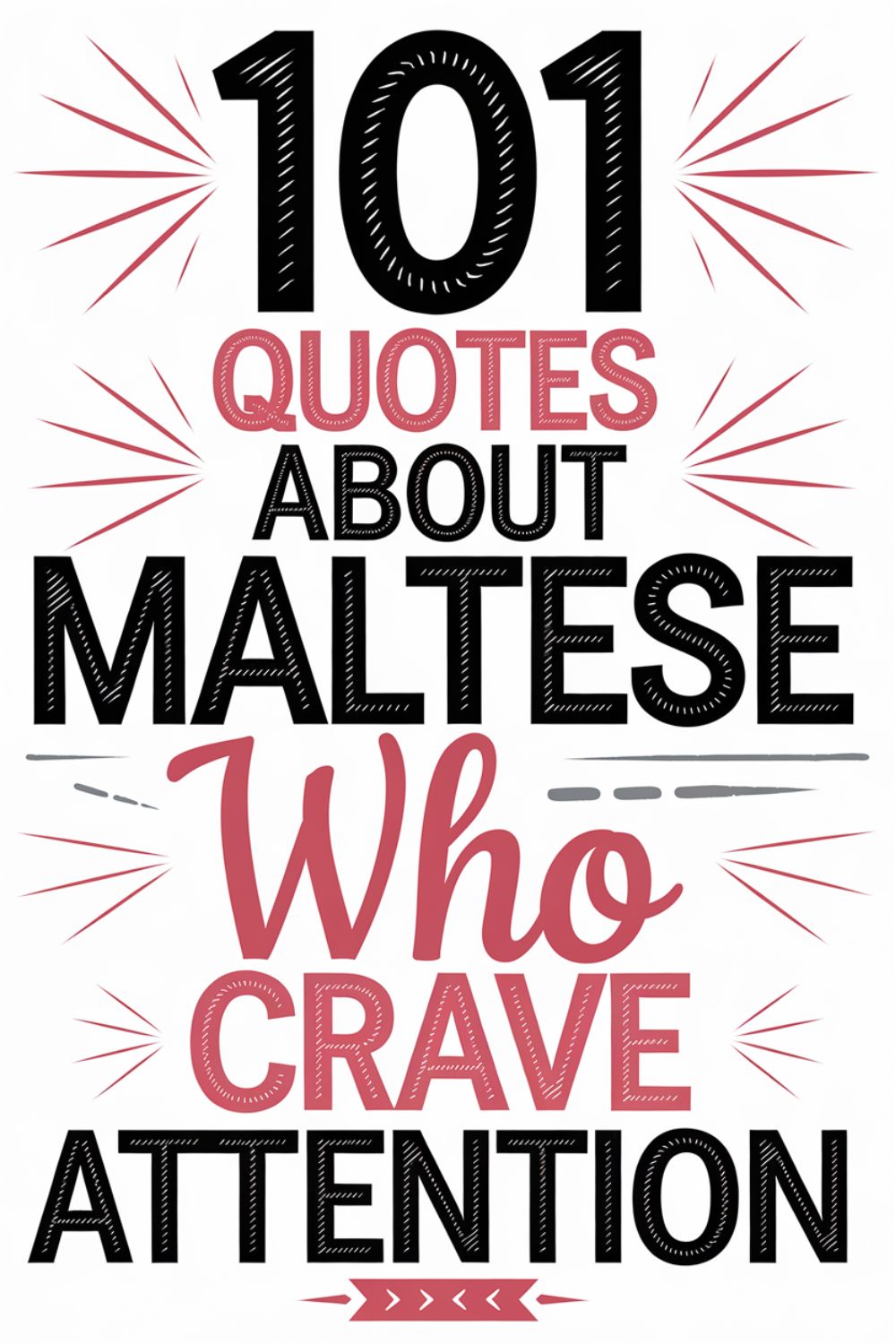 101 Quotes About Maltese Who Crave Attention