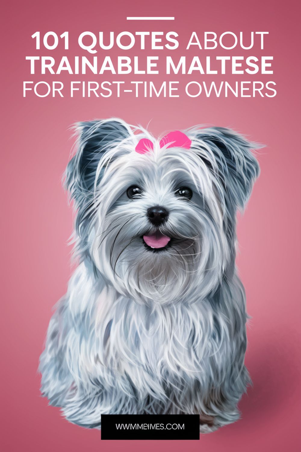 101 Quotes About Trainable Maltese for First-Time Owners
