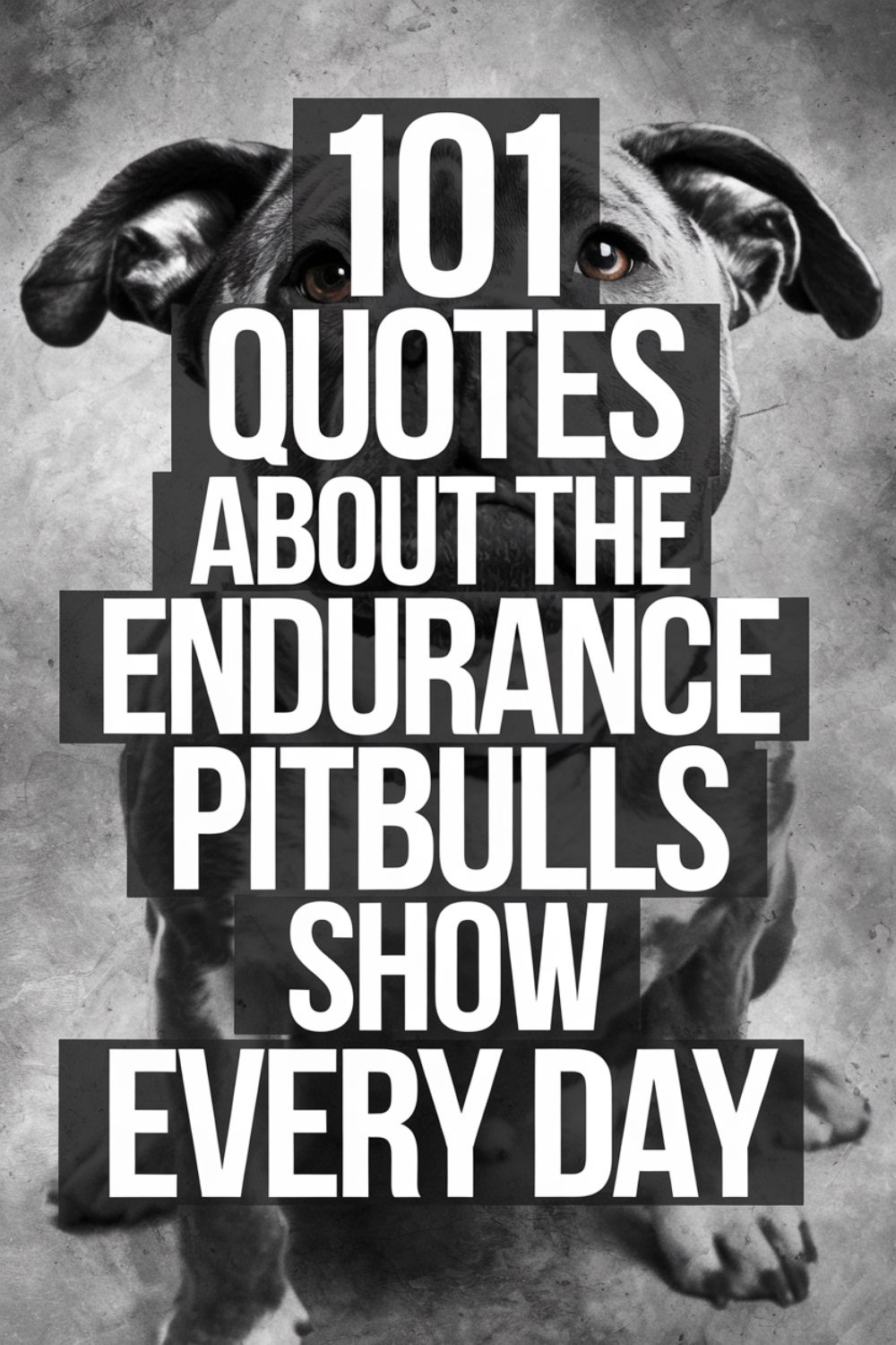 101 Quotes About the Endurance Pitbulls Show Every Day