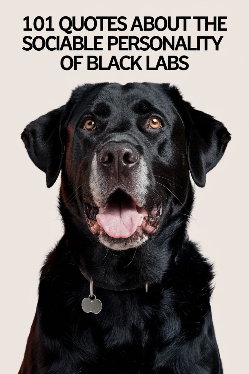 101 Quotes About the Sociable Personality of Black Labs