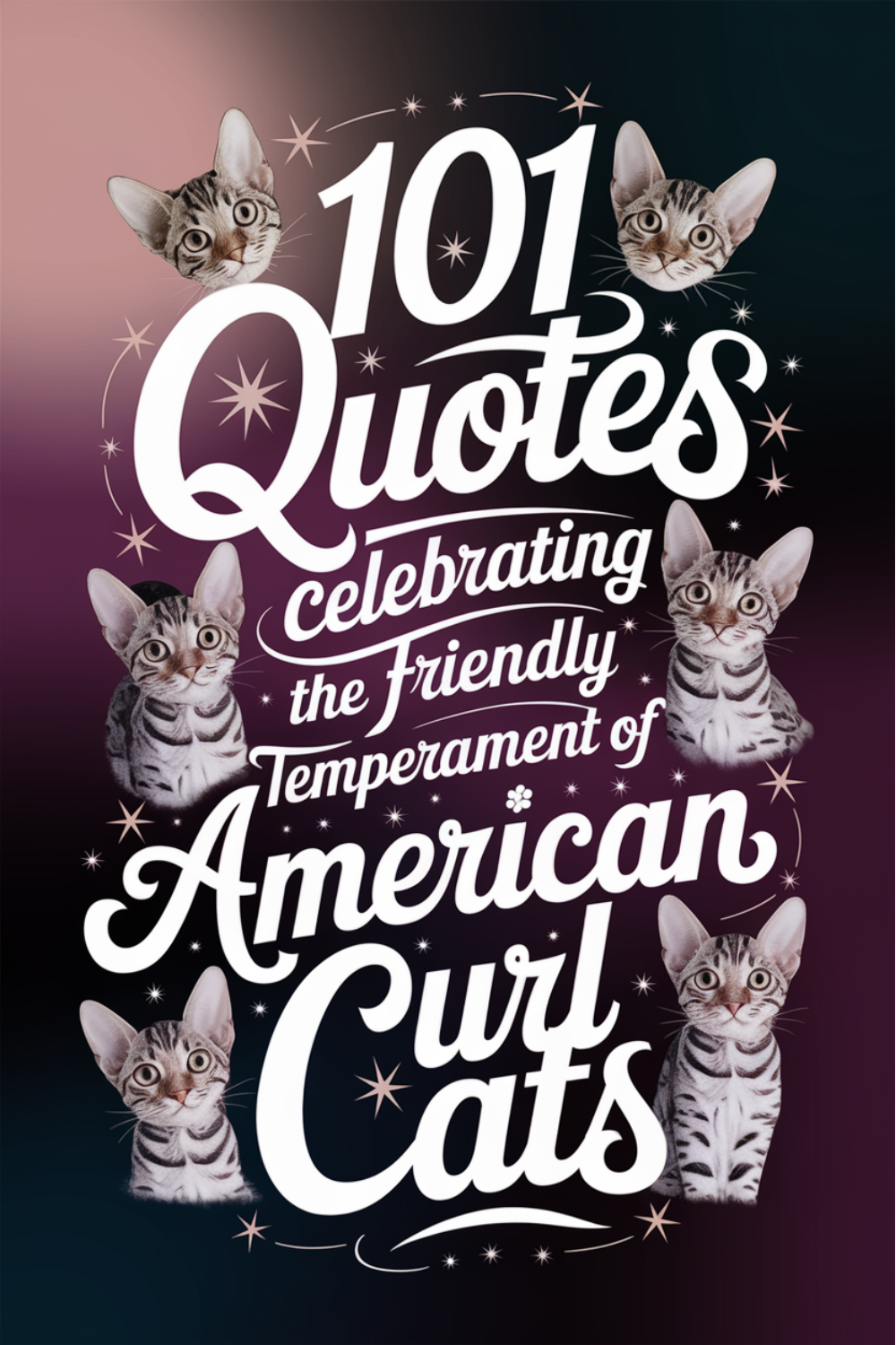 101 Quotes Celebrating the Friendly Temperament of American Curl Cats