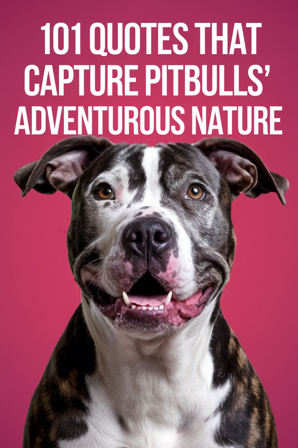 101 Quotes That Capture Pitbulls’ Adventurous Nature