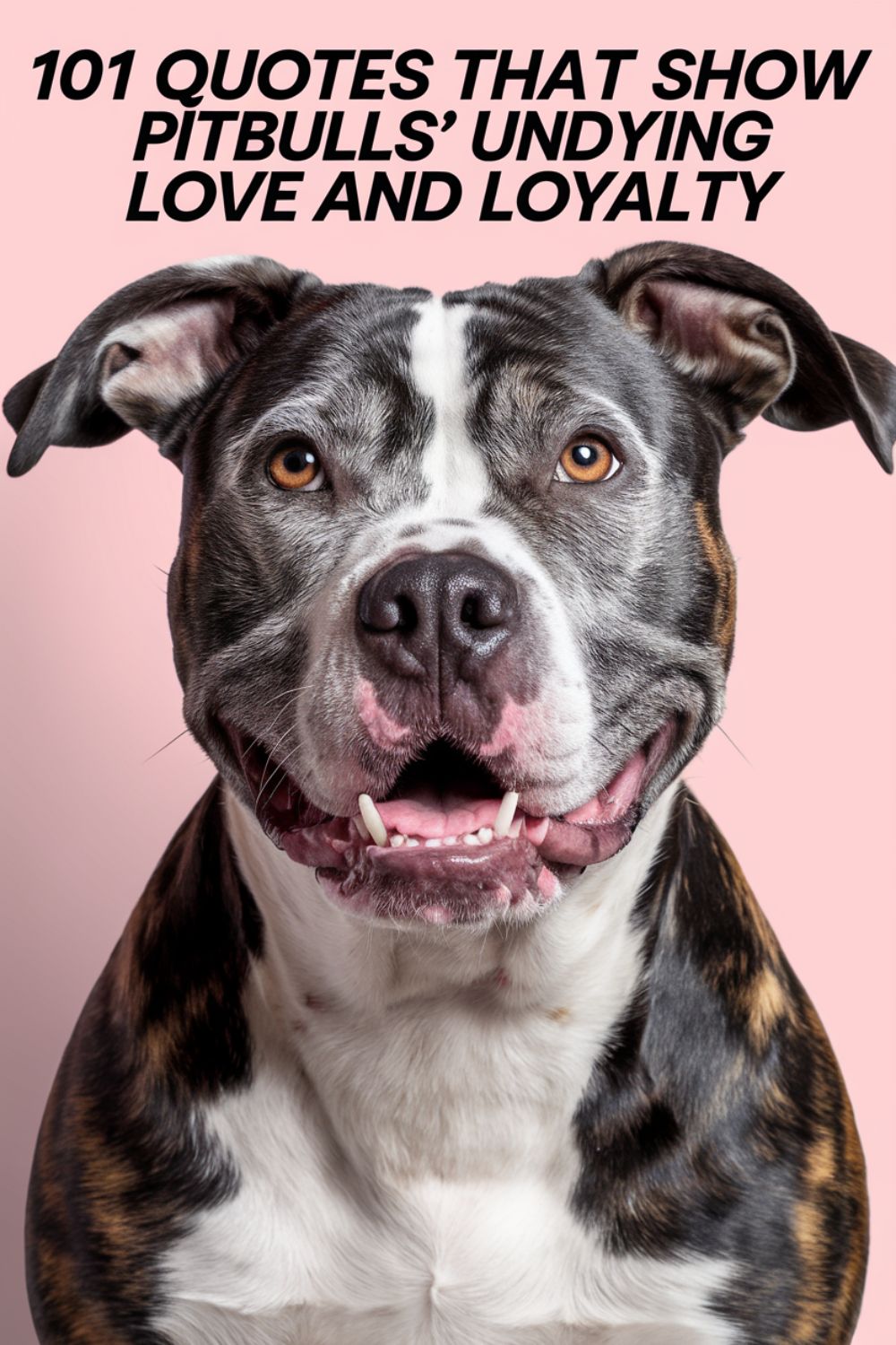 101 Quotes That Show Pitbulls’ Undying Love and Loyalty