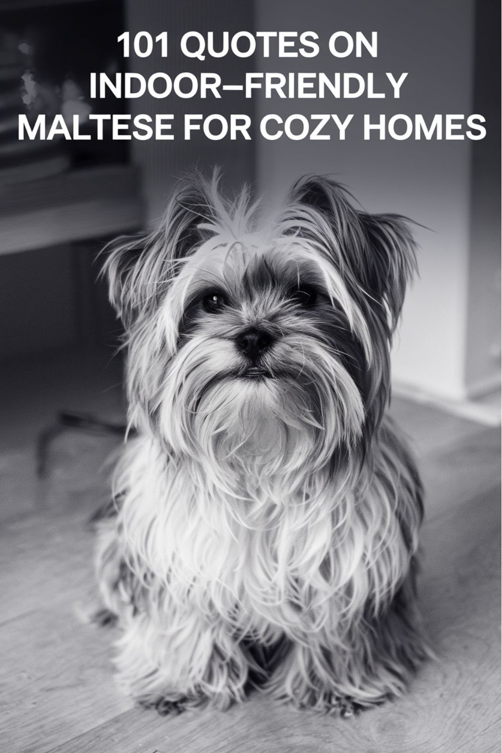 101 Quotes on Indoor-Friendly Maltese for Cozy Homes