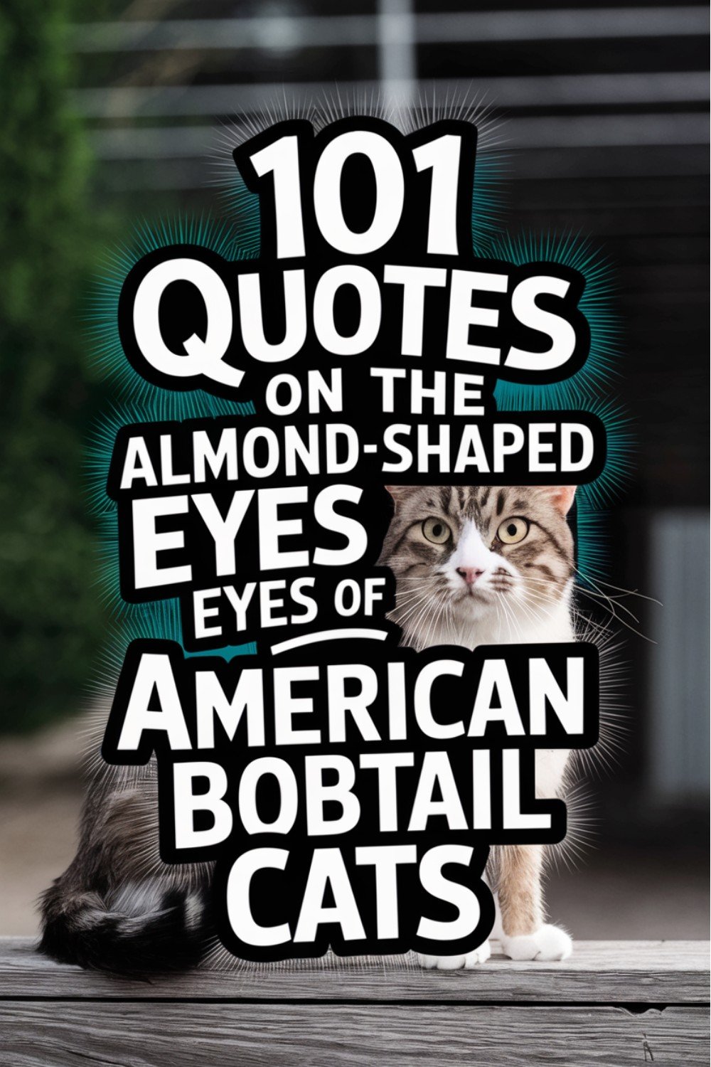 101 Quotes on the Almond-Shaped Eyes of American Bobtail Cats