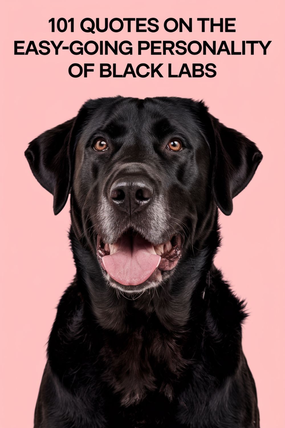 101 Quotes on the Easygoing Personality of Black Labs