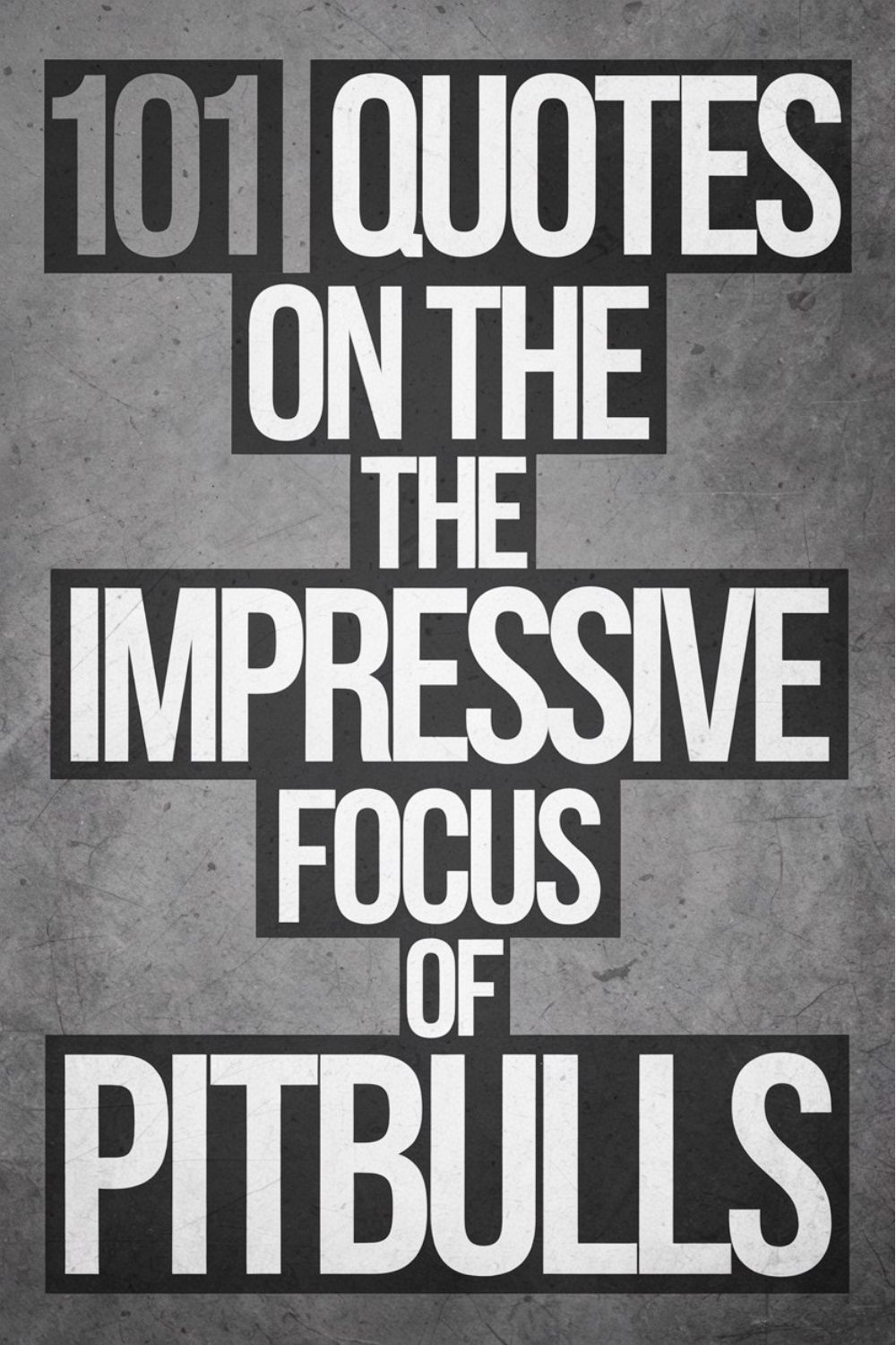 101 Quotes on the Impressive Focus of Pitbulls