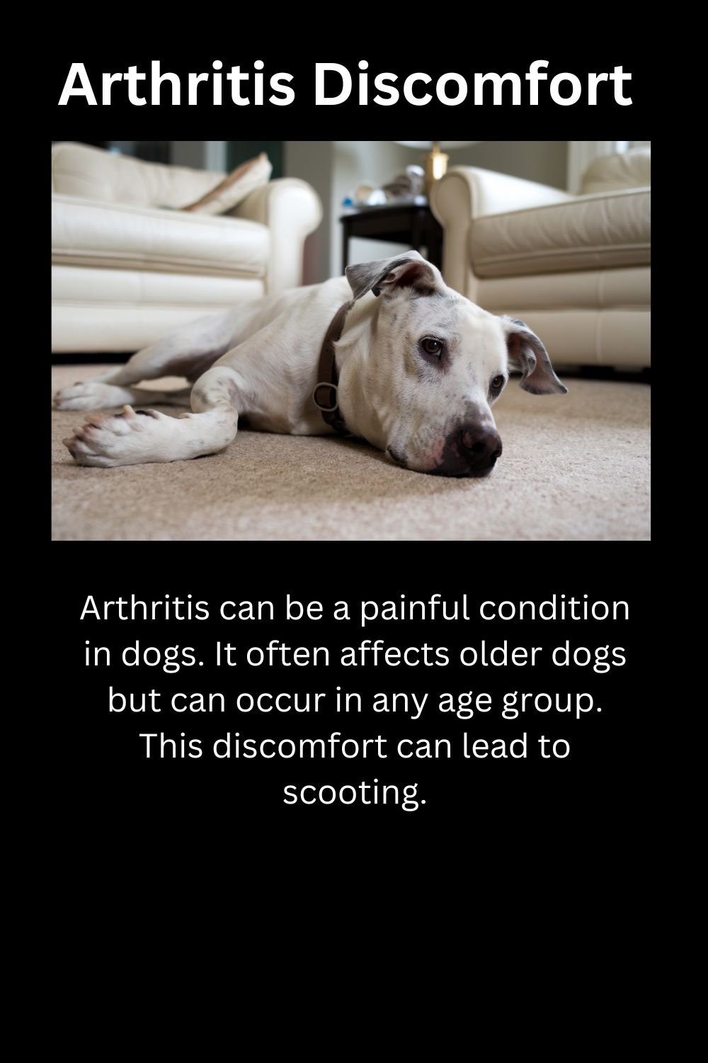 Arthritis Discomfort