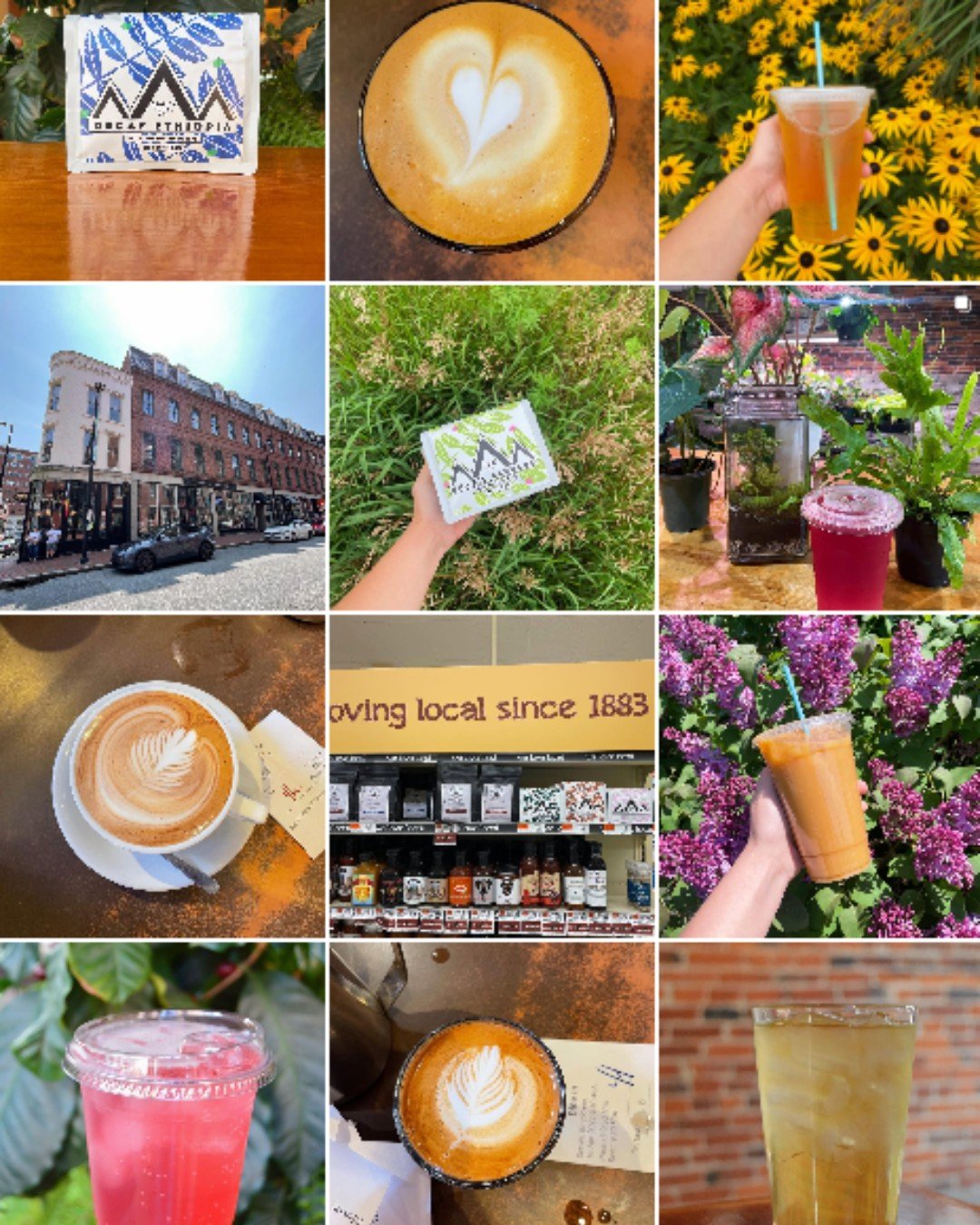 Arabica Coffee Company Instagram