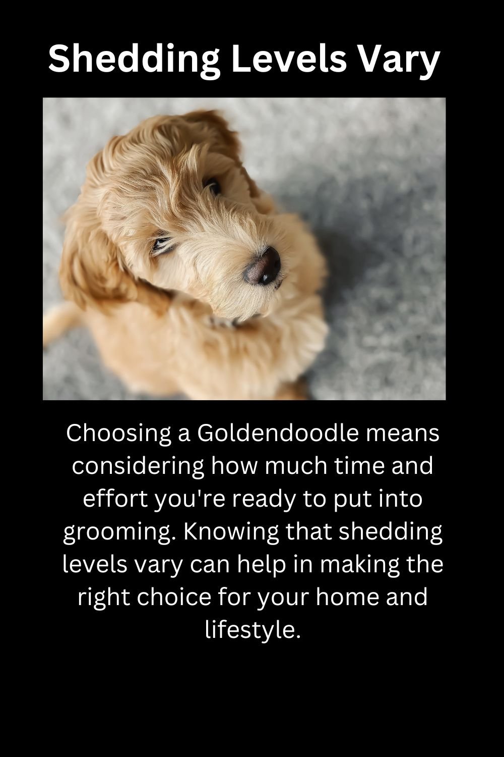 Shedding Levels Vary