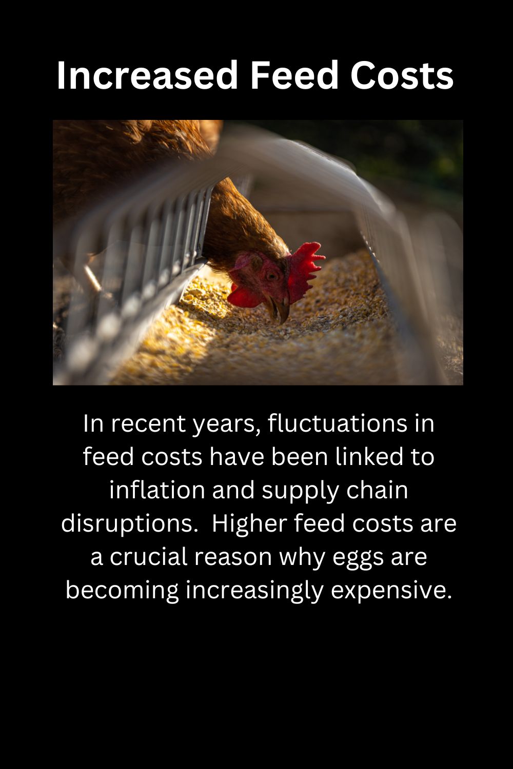 Increased Feed Costs