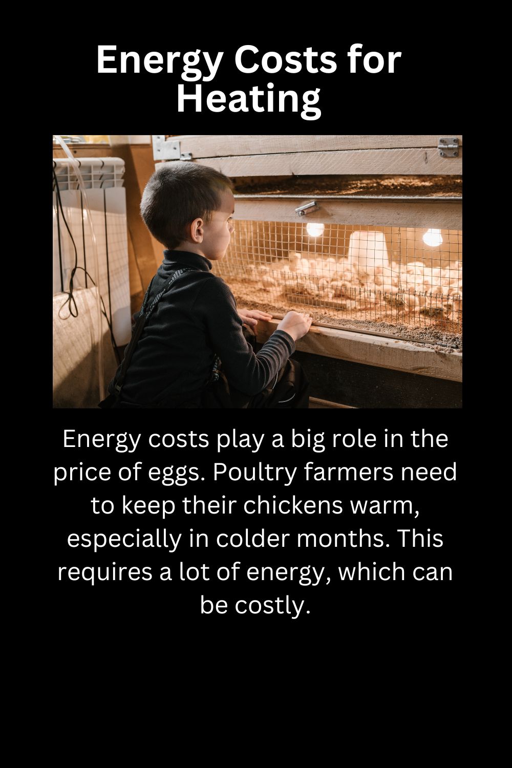 Energy Costs for Heating